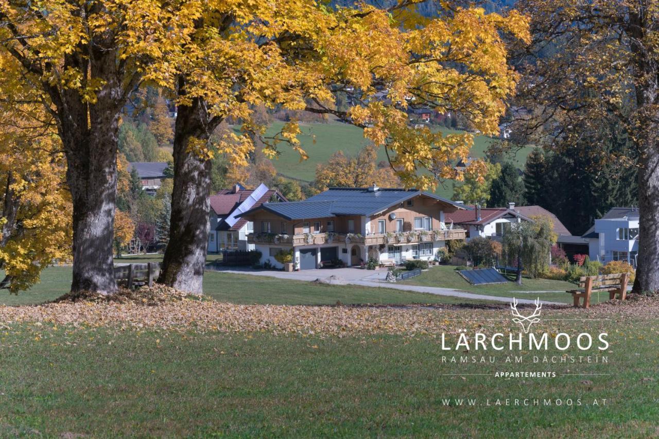 Appartements Laerchmoos رامساو أم داتشستين المظهر الخارجي الصورة